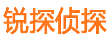 陆丰寻人公司